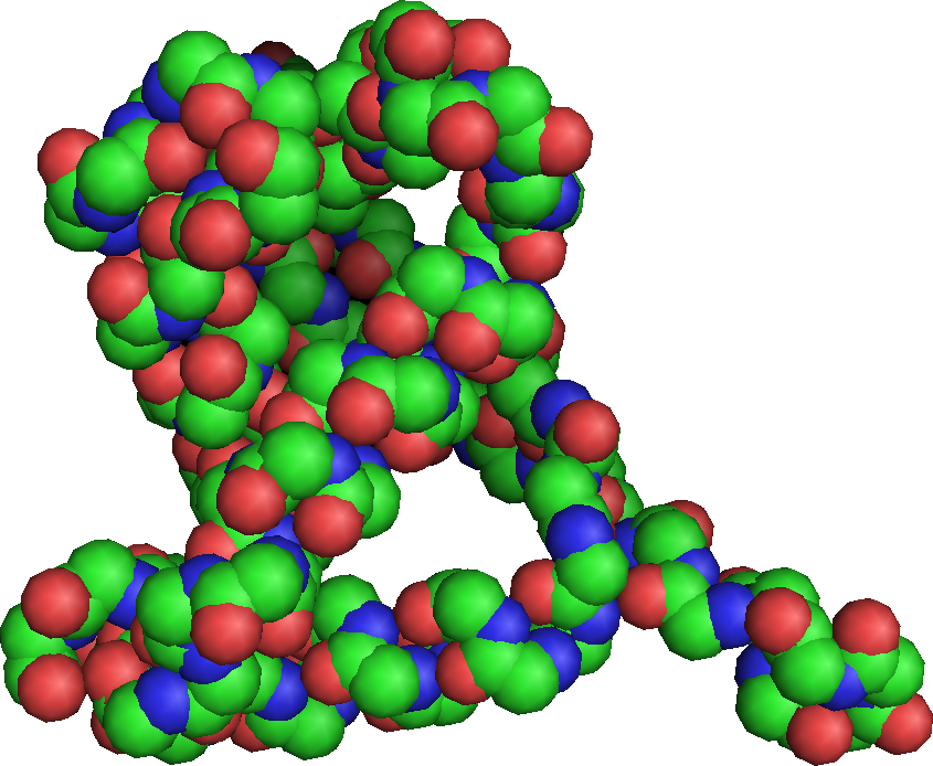 蛋白质-RNA分子动力学