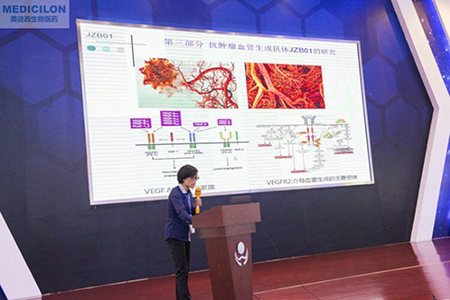 中国药科大学张娟副教授作抗肿瘤血管生成抗体JZB01研究报告