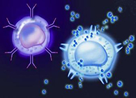 ScientificReports：免疫细胞“叛变”促进肿瘤生长