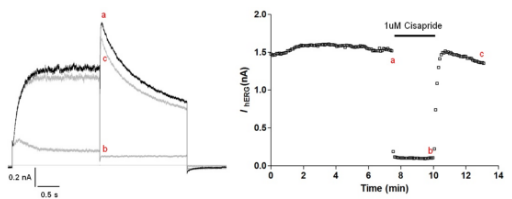 Cisapride抑制hERG钾电流的电流图和hERG峰电流与时间关系图