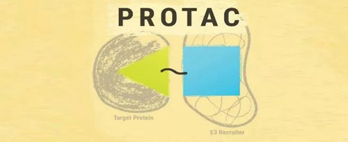 PROTAC药物组成的简单示意图