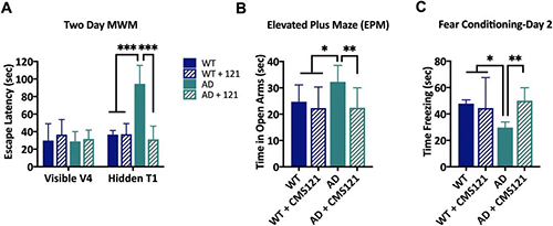 CMS121减轻转基因AD小鼠的认知功能障碍