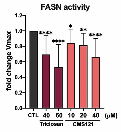 HT22细胞裂解物中FASN酶活性