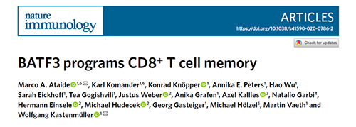 Nature：BATF3改善T细胞记忆应答，有望改善免疫疗法的疗效