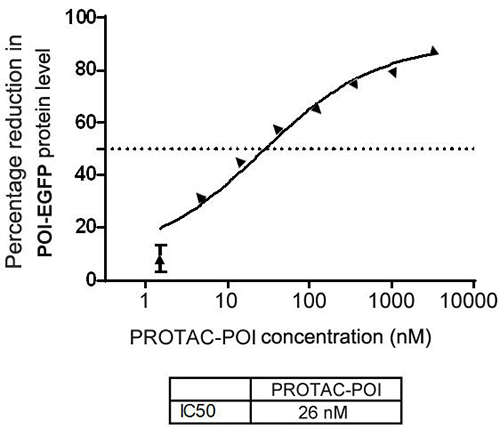 Percentage reduction in POI-EGFP fusion protein level