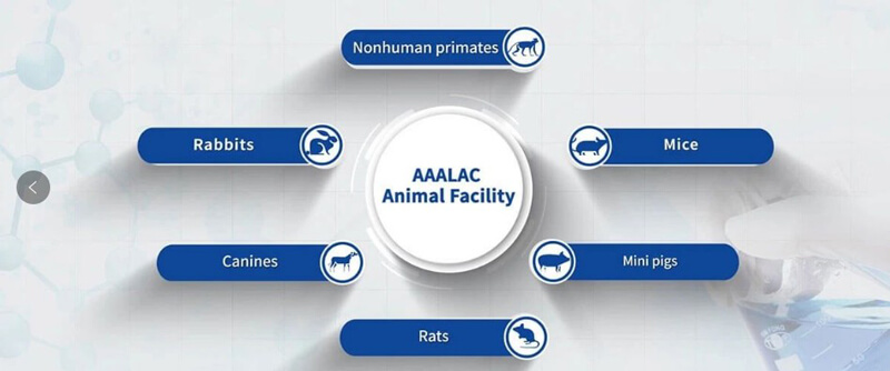 美迪西临床前研究实验室通过国际实验动物评估和认可（AAALAC）.jpg