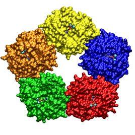 揭秘古老蛋白修复损伤DNA的机制或帮助开发抗癌疗法