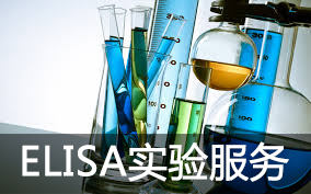 elisa实验服务(酶联免疫吸附试验)