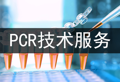 PCR技术服务及其运用