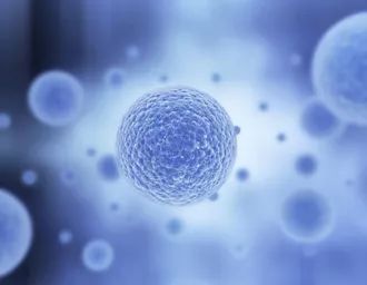 单细胞测序发现新的免疫前体细胞