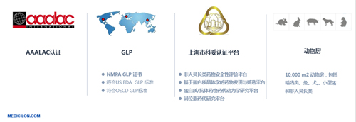 美迪西生物医药 临床前研究