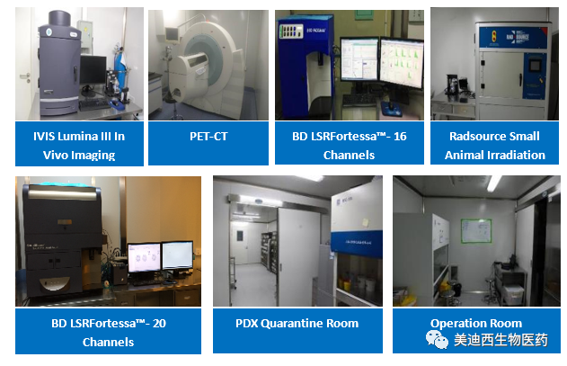 美迪西药理部拥有IVIS Lumina III, PET-CT, BD LSRFortessa-16, Flow Cytometry等仪器，提供符合申报，支持临床试验的药效评价服务。