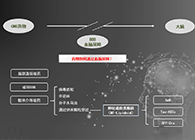 人工合成NT类脂质开放血脑屏障，为CNS药物打开新局面