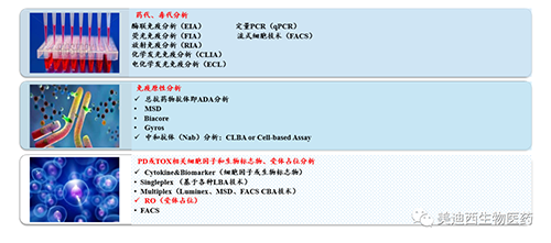 美迪西生物技术药物分析部服务内容