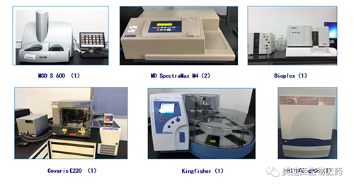 美迪西生物技术药物分析部服务仪器