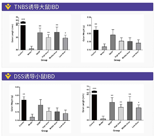 TNBS诱导的大鼠IBD、DSS诱导的大鼠IBD