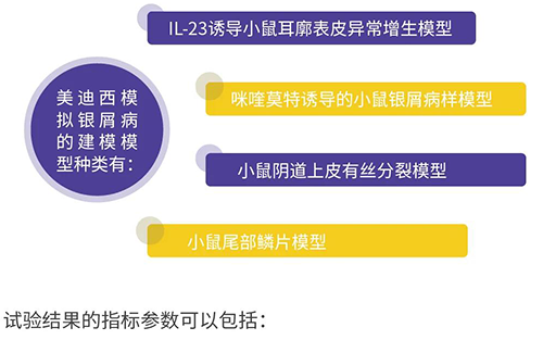 美迪西模拟银屑病的建模模型种类