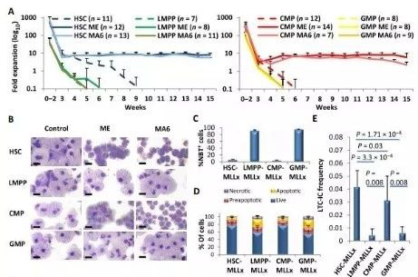 Science子刊：一种FDA批准的抗腹泻药物可有效对抗化疗的耐药性 美迪西生物医药