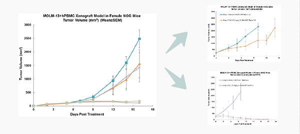 PBMC人源化小鼠淋巴瘤移植模型的肿瘤生长及药效评价.png