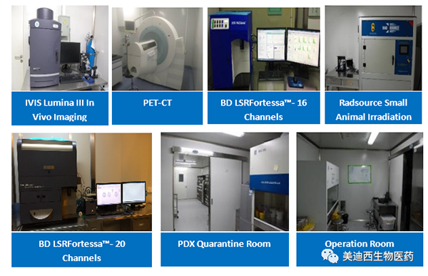 美迪西药理部拥有IVIS Lumina III, PET-CT, BD LSRFortessa-16，Flow Cytometry等仪器