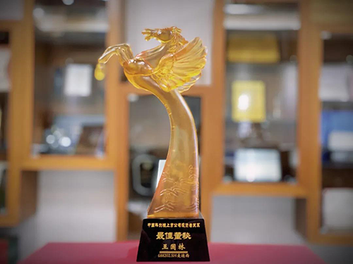 中国科创板上市公司投资者关系“最佳董秘”奖