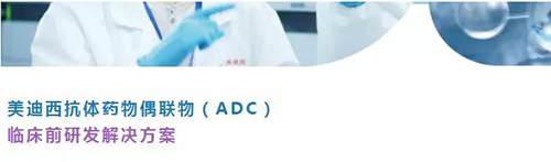 美迪西抗体药物偶联物(ADC)临床前研发解决方案.png 美迪西抗体药物偶联物(ADC)临床前研发解决方案.png