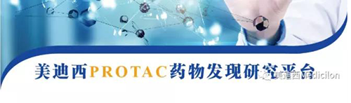 美迪西PROTAC药物发现平台.png 美迪西PROTAC药物发现平台.png