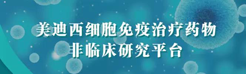 美迪西细胞免疫治疗药物非临床研究平台.png 美迪西细胞免疫治疗药物非临床研究平台.png