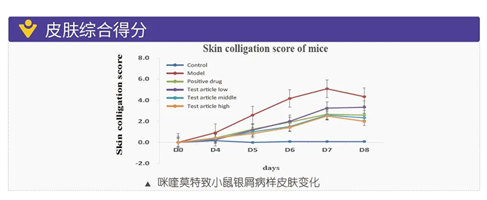 美迪西模拟银屑病的建模模型-皮肤综合得分.png