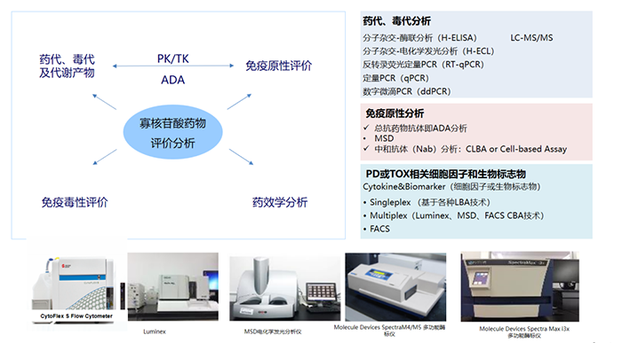 核酸药物生物分析项目及涉及试验设备.png 核酸药物生物分析项目及涉及试验设备.png