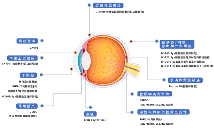 兆科眼科创新药物管线.png 兆科眼科创新药物管线.png