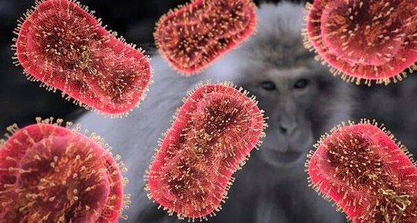 猴痘病毒是一种包膜双链DNA病毒.jpg