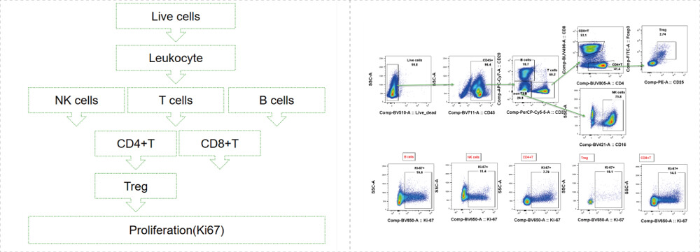 Data-shown-was-Cyno-T-B-NK-Panel_monkey-Blood.jpg