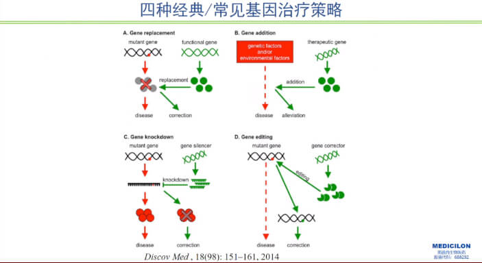 图1-四种经典常见基因治疗策略.jpg