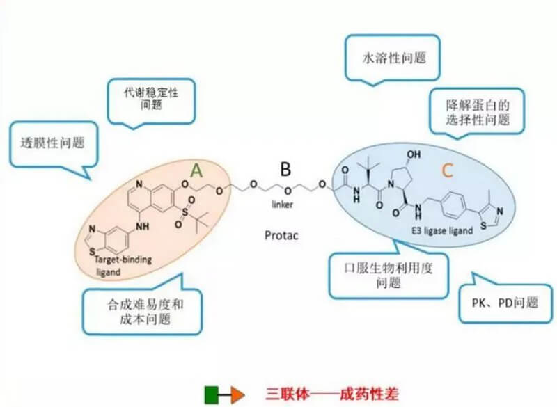 PROTAC分子量较大，溶解性较差.jpg