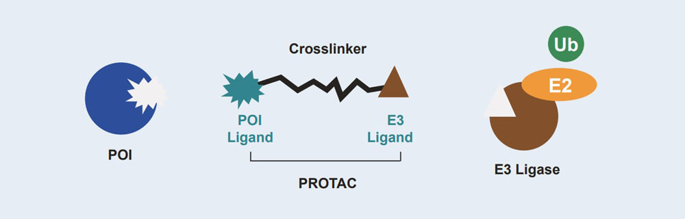 美迪西 PROTAC 药物发现技术服务平台