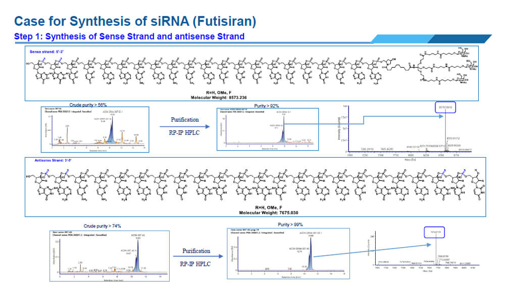 这是一个合成siRNA的例子.jpg