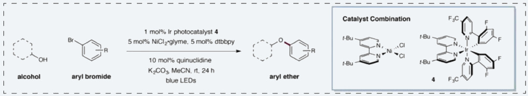 6-Alcohol-and-aryl-halide-scope-in-the-nickel-catalyzed-photoredox-C-O-coupling-reaction.jpg