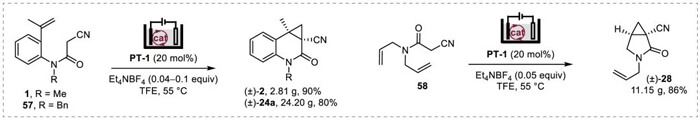 8-Scale-up-electro-catalysis-to-make-cyclopropyl-compounds.jpg