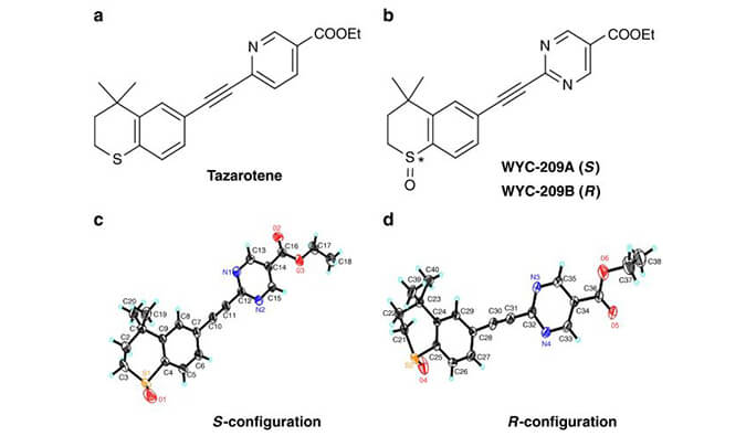 WYC-209可抑制恶性小鼠黑色素瘤肿瘤再生细胞增殖，SPR分析通过美迪西使用Biacore 8K设备进行