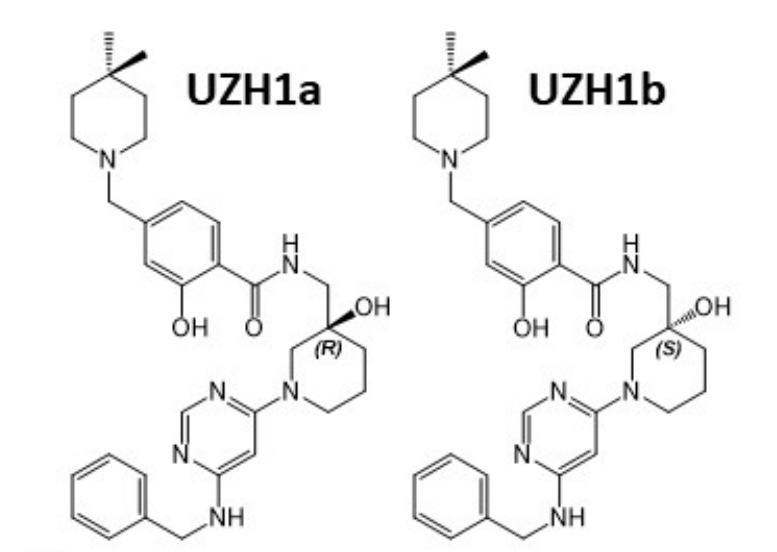 研究人员报告了一种具有细胞渗透性的选择性METTL3纳摩尔抑制剂UZH1a，作者感谢美迪西合成了UZH1a和UZH1b