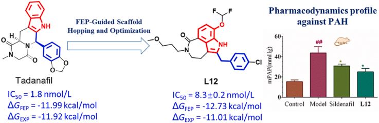 药物发现中的挑战之一是识别高质量的先导化合物。此研究中PK结果表明L12可作为针对PDE5的先导化合物，进一步研究和开发。L12的PK分析通过美迪西进行