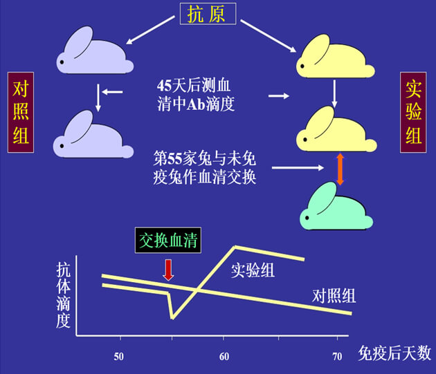 Figure-1：机体对抗体浓度变化的感知与反馈性自我调节.jpg