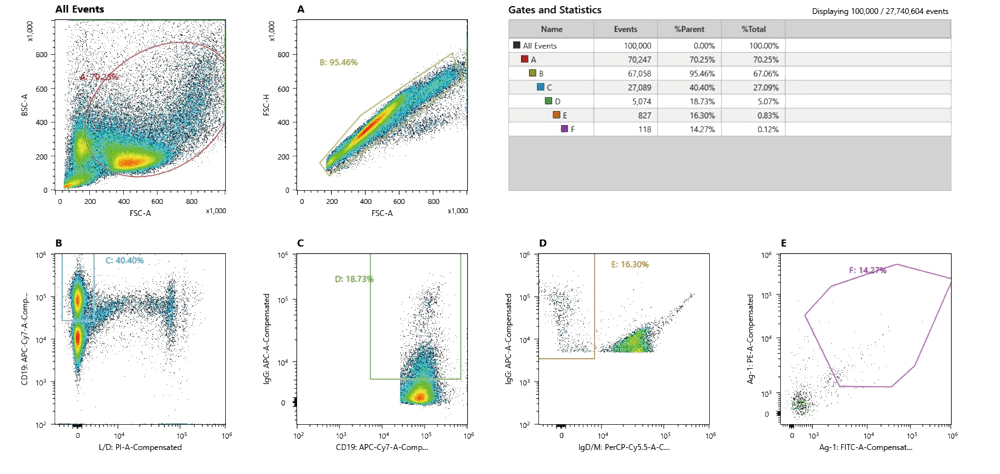 Nectin-4 (4-6) Sorting Single B Cell.webp