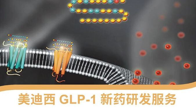 “GLP-1”新药研发服务平台