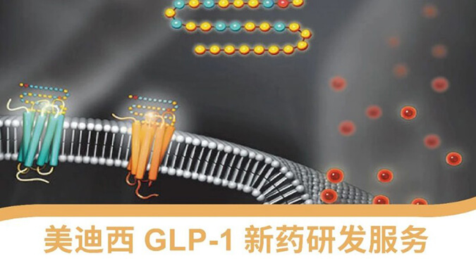 “GLP-1”新药研发服务平台 “GLP-1”新药研发服务平台