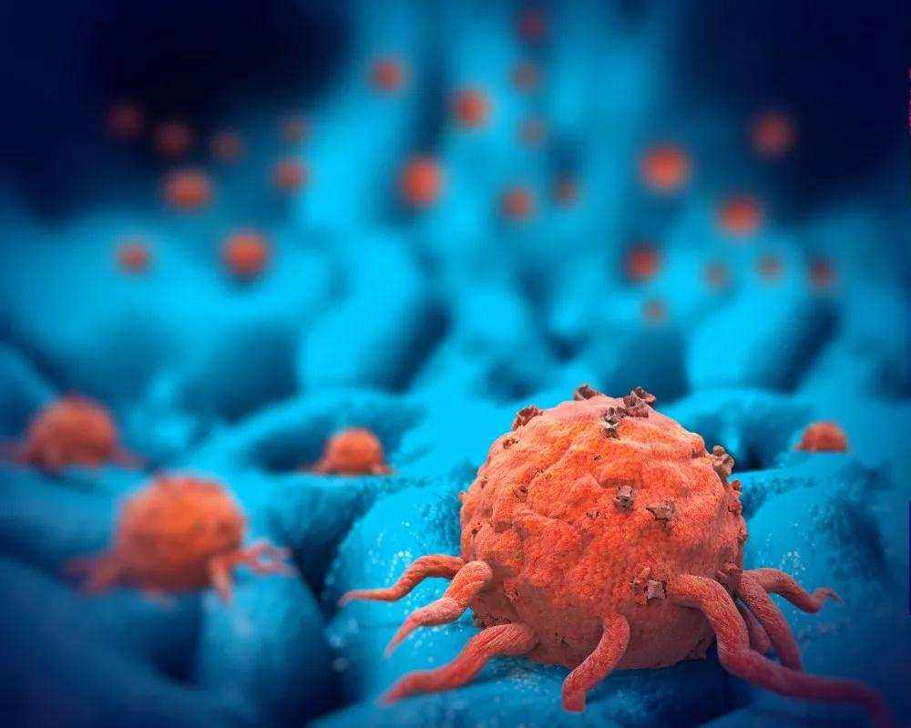美迪西助力 | 力鑫生物研发的靶向抗肿瘤新药LX-132胶囊成功获得一类新药临床批件