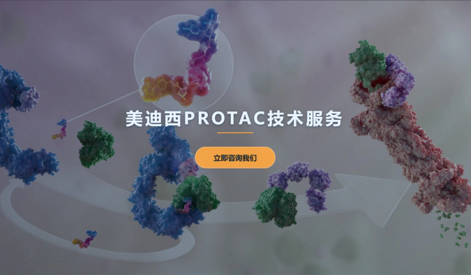 美迪西PROTAC服务
