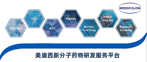 美迪西新分子药物研发服务平台.webp