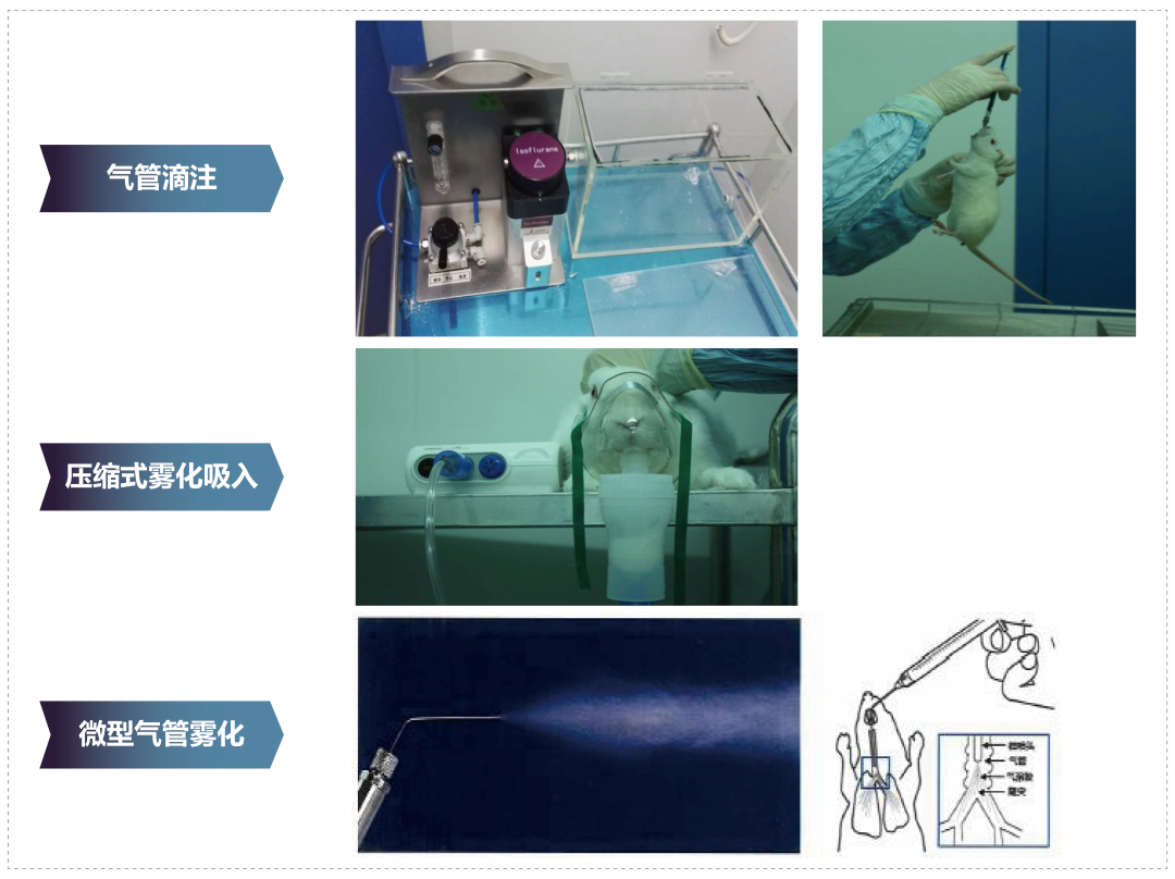 美迪西其它吸入给药方式.webp